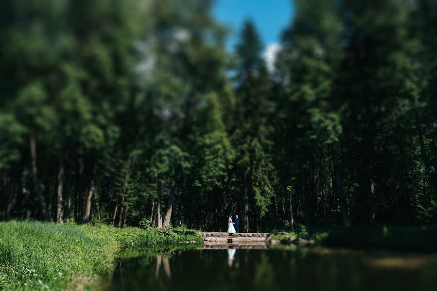 Fotógrafo de bodas Svetlana Ilicheva (svetlana87). Foto del 12 de junio 2019