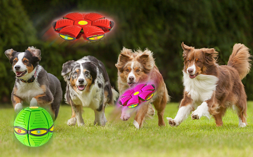 Title 1, Pet Toy Flying Saucer Ball for Dogs 6 Lights Ou...