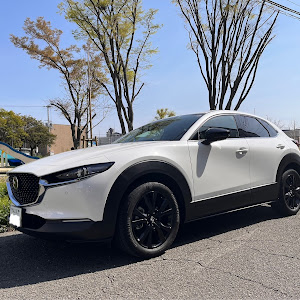 CX-30 DM8P