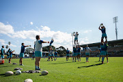 Argentina players training in Sydney ahead of their clash against New Zealand. 