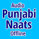 Download Punjabi Offline Audio Naats For PC Windows and Mac 1.0