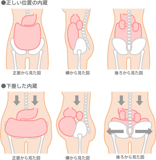 腹筋だけじゃダメ ぽっこりお腹が解消されない原因 知ってますか Trill トリル