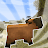 Cute Capybara Mod for MCPE icon