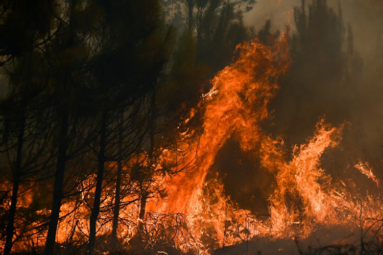 Flames rise at a forest fire near Louchats, as wildfires spread in the Gironde region of southwestern France on July 18 2022. Picture: REUTERS/PHILIPPE LOPEZ