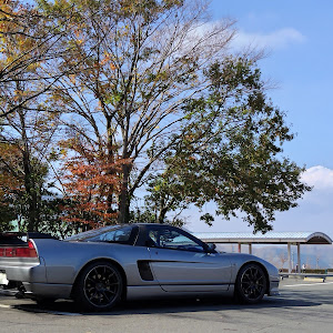 NSX NA1