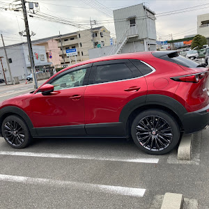 CX-30