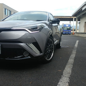 C-HR ZYX10