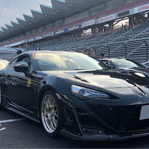 86 ZN6