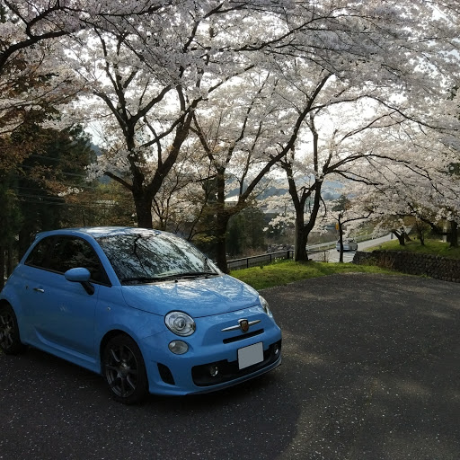 Svenのプロフィール画像