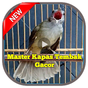 Master Kapas Tembak Gacor  Icon