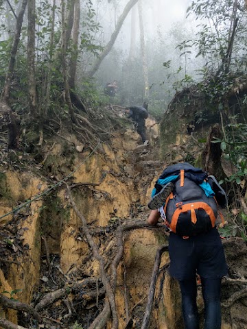 Gunung Tahan Merapoh Route; Sungai Relau; misty hikes