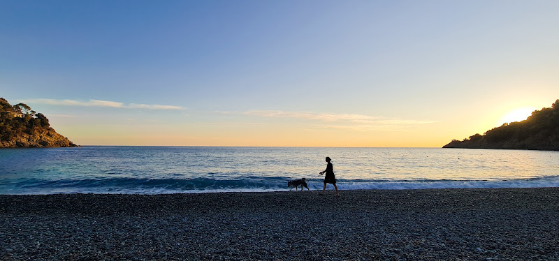 Passeggiata al tramonto  di Frosa