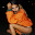 Tommy Genesis HD Wallpapers New Tab Theme