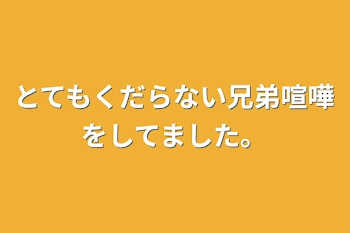 とてもくだらない兄弟喧嘩をしてました。