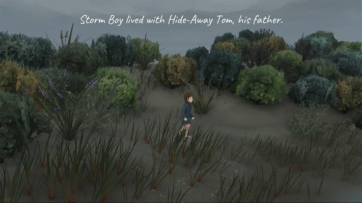 Storm Boy Screenshot Image