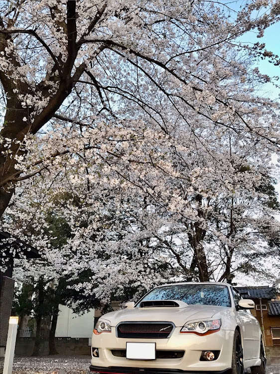 レガシィツーリングワゴンのいつもイイネ&コメントありがとうございます🙇‍♂️・夕日に輝くあなたの愛車・桜と愛車・4月もよろしくお願い致します🌸に関するカスタム事例の投稿画像10枚目