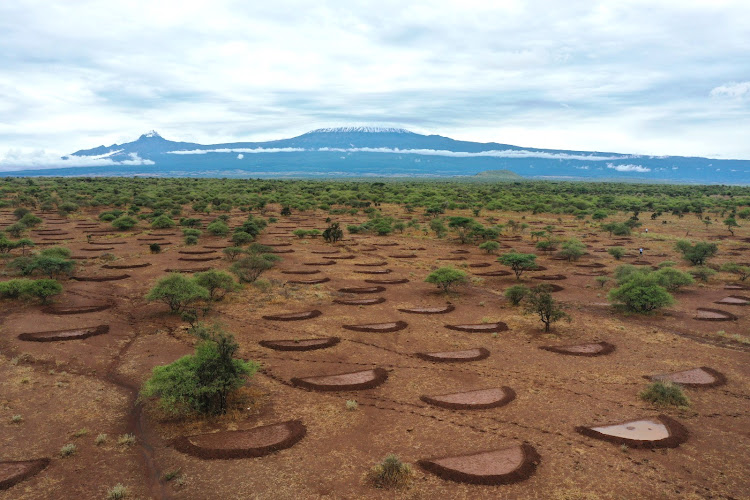 Some of the Half Moon Bunds at the Amboseli Local Community Conservation Area. Image: Handout.