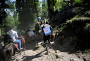 Healthcare workers and porters trek to inoculate shepherds with COVISHIELD, a coronavirus disease (COVID-19) vaccine manufactured by Serum Institute of India, during a vaccination drive at Lidderwat near scenic Pahalgam in south Kashmir's Anantnag district, June 10, 2021. Picture taken June 10, 2021. 