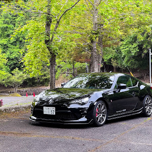 86 ZN6