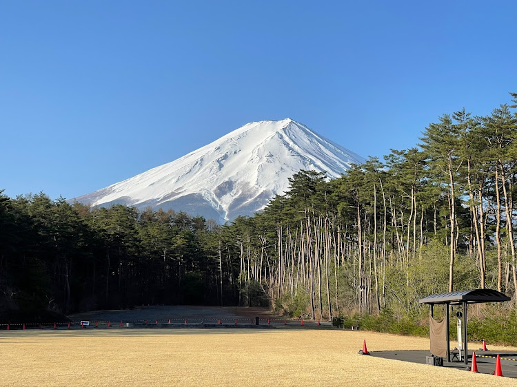 の投稿画像2枚目