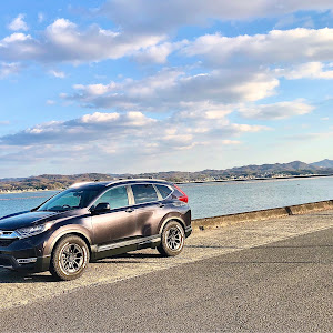 CR-V RT5