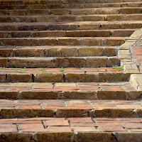 L'erba sul gradino... è sempre più verde! di 