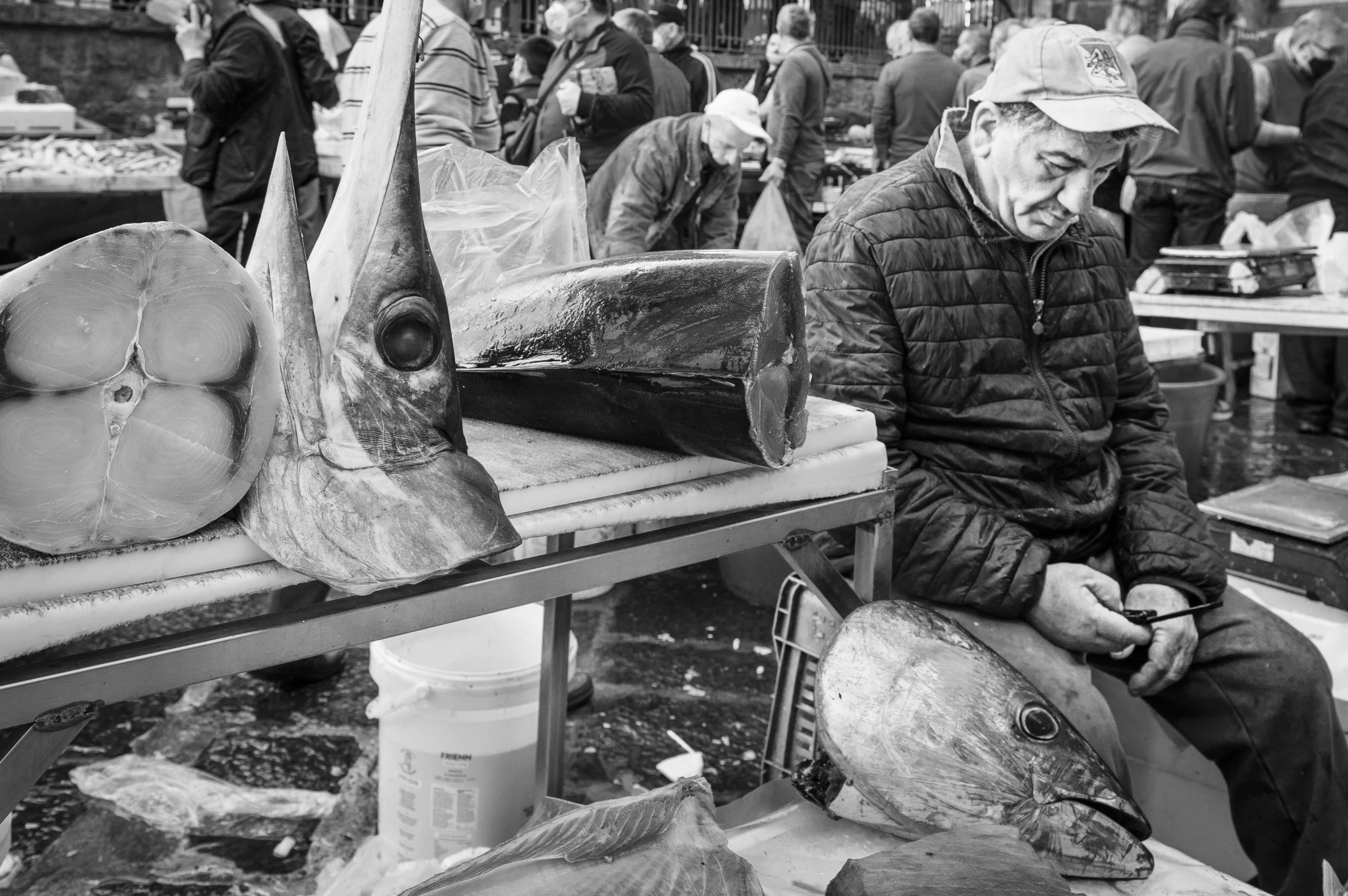 Immerso nel silenzio dei pesci. di Antonio Raciti 