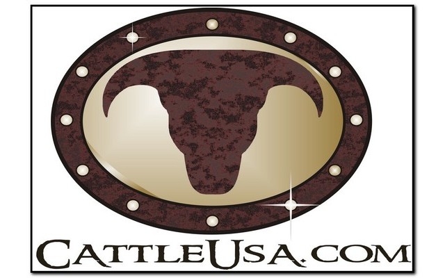 CattleUSA Flash Preview image 1