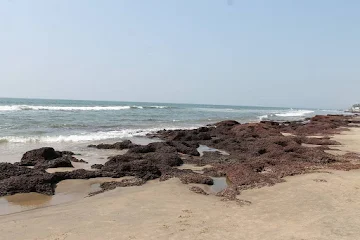 morjim-best-beaches-in-goa_image