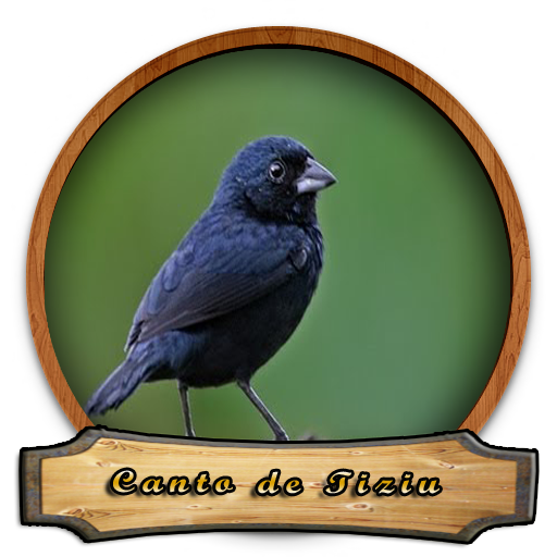 Femea Passaro de Tiziu Mp3