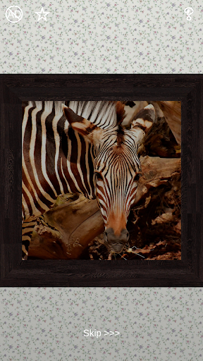 Animals Puzzles - 100 Pictures