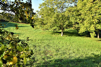 terrain à Saint-Médard-en-Forez (42)