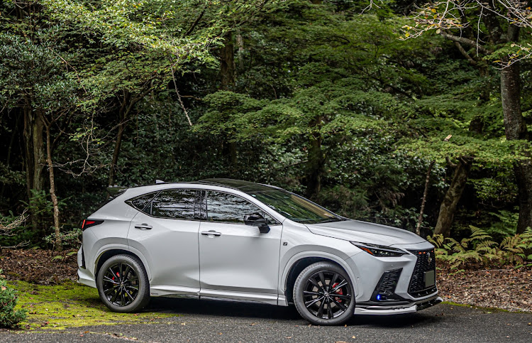 NXの広島RAV4オフ会に関するカスタム事例の投稿画像3枚目