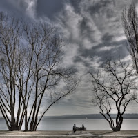 L'appuntamento romantico sotto alberi di 