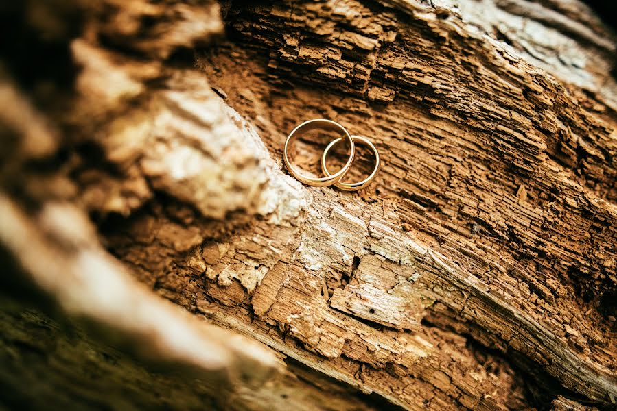 Fotógrafo de bodas Elena Klesova (elli1214). Foto del 2 de agosto 2018