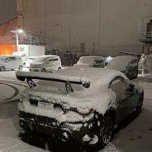 BRZ ZC6