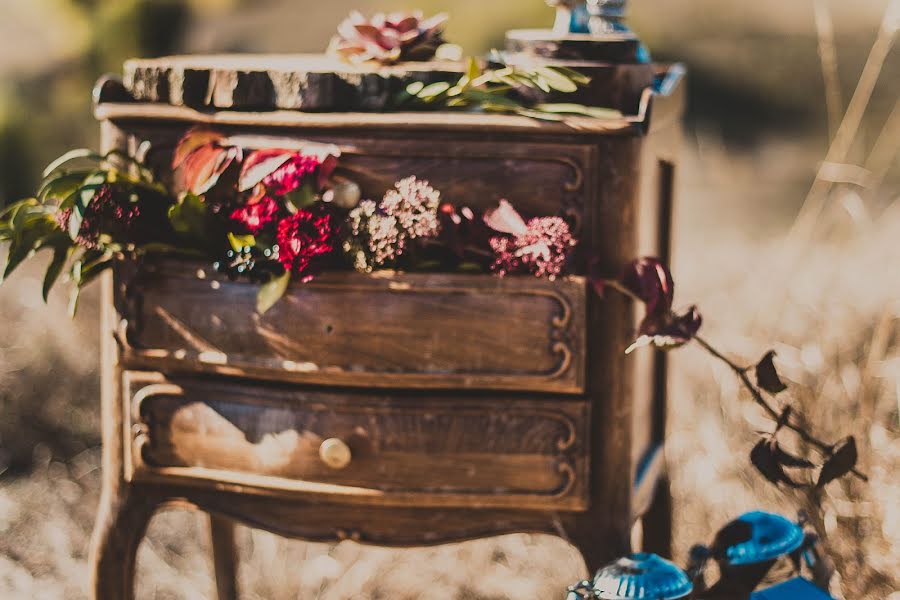 Fotografo di matrimoni Elena Yarem (elenayarem24). Foto del 16 novembre 2017