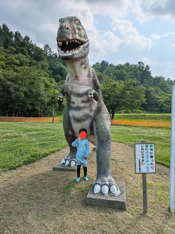 ヴェルファイアのファミリーランドみかさ遊園に関するカスタム事例の投稿画像4枚目