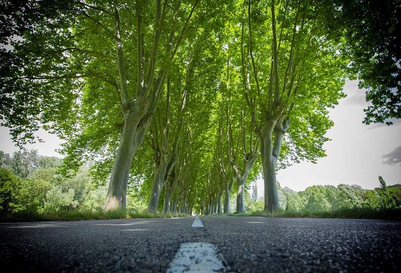 Strada confortevole di Scaccia