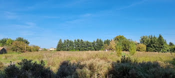 terrain à Althen-des-Paluds (84)