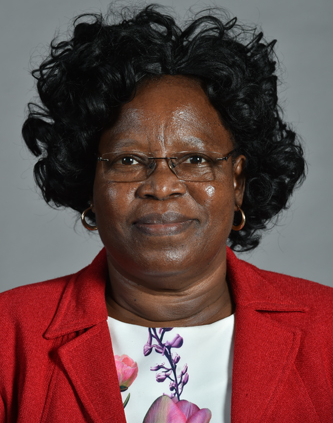 ANC MP Alice Mthembu died in a car accident on Boxing Day.