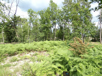 terrain à Marsac-sur-l'Isle (24)