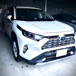 RAV4 AXAH54