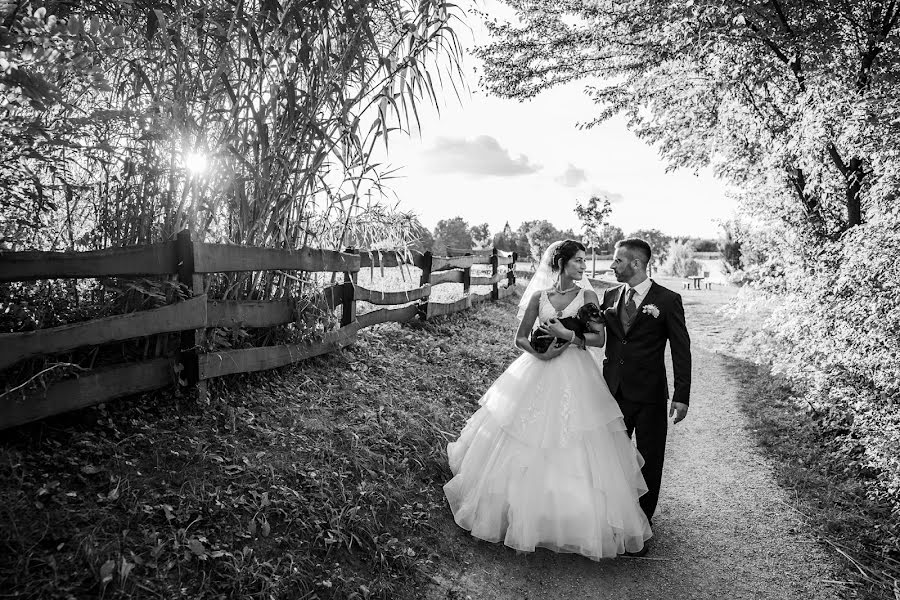 Fotógrafo de bodas Jaszenovics Tamás (jaszifoto). Foto del 3 de enero