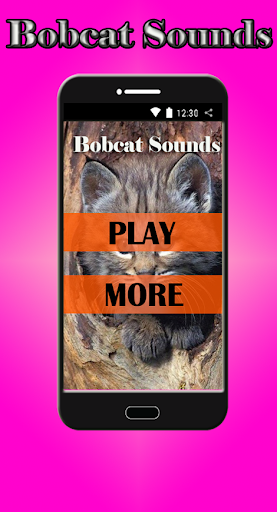 Bobcat Sounds