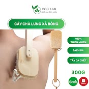 Cây Cọ Lưng, Chà Lưng Xơ Mướp Hữu Cơ Tẩy Tế Bào Chết Toàn Thân Chuẩn Vietgap - Ecolab