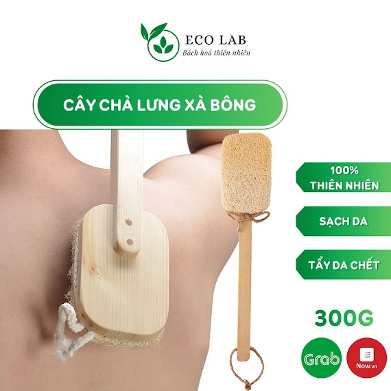 Cây Cọ Lưng, Chà Lưng Xơ Mướp Hữu Cơ Tẩy Tế Bào Chết Toàn Thân Chuẩn Vietgap - Ecolab