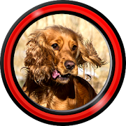 Sweet Dog Live Wallpapers 1.2 Icon