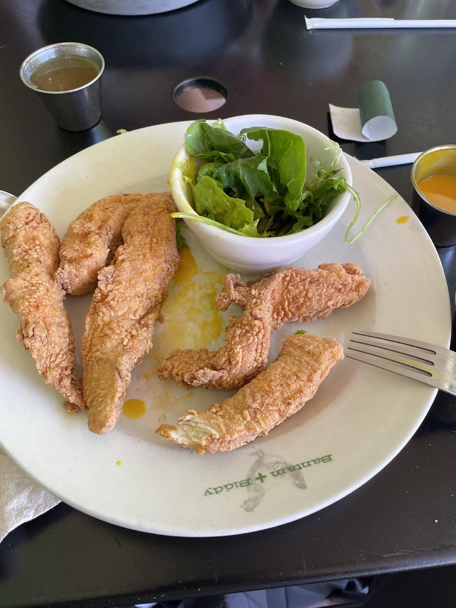 Incredible gluten free chicken tenders!