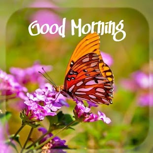 Dobré ráno denně pozdravy - náhled